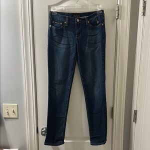 Baby Phat Blue Skinny Jeans